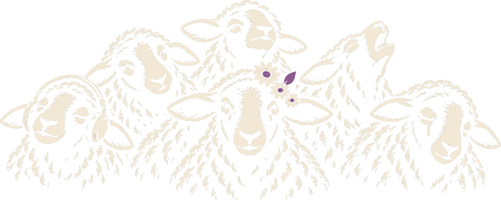 A herd of black sheep: one in headphones, one howling at the sky, one crying, and one in the middle wearing daisies