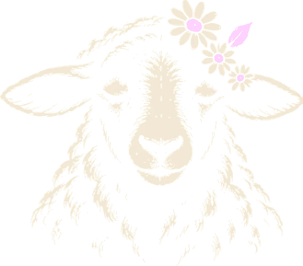 Black sheep, eyes closed, calm