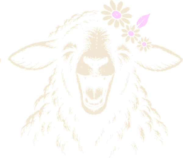 Black sheep with its mouth wide open in a full release